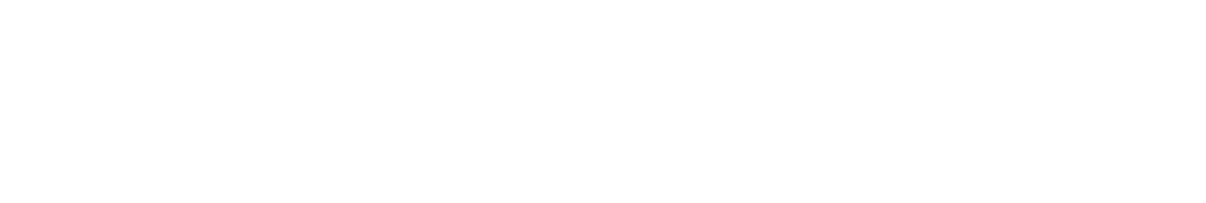 logo light